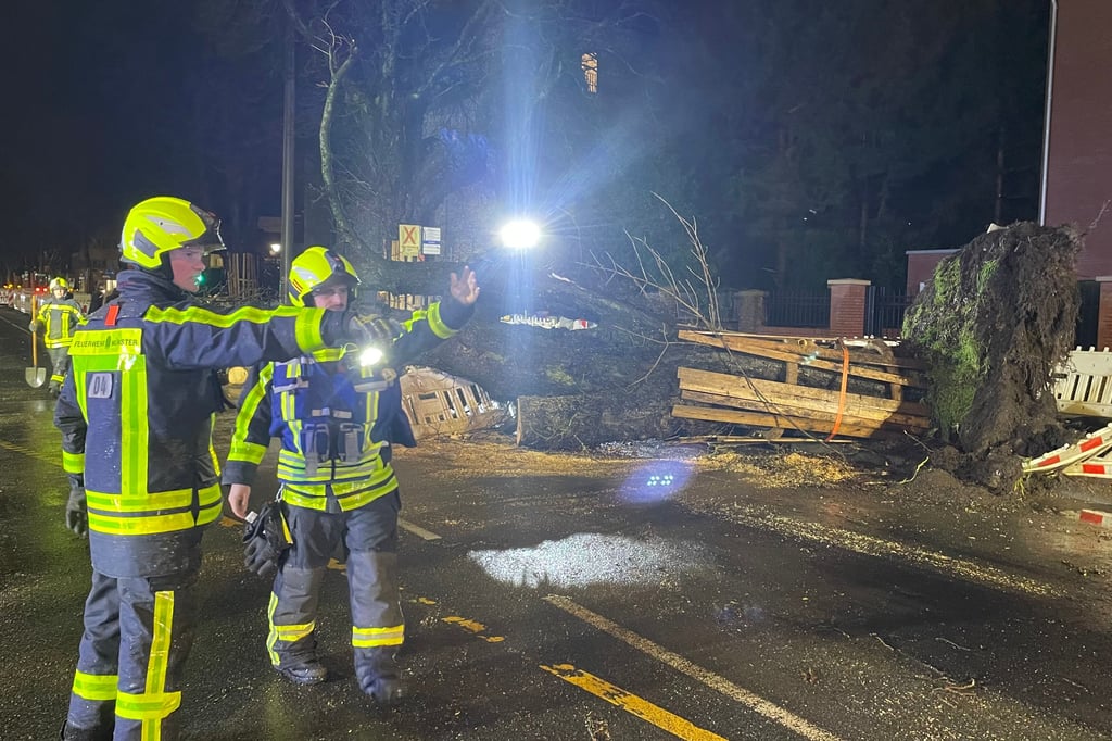 Sturm in Münster Baum umgestürzt, Weihnachtsmarkt im Fokus