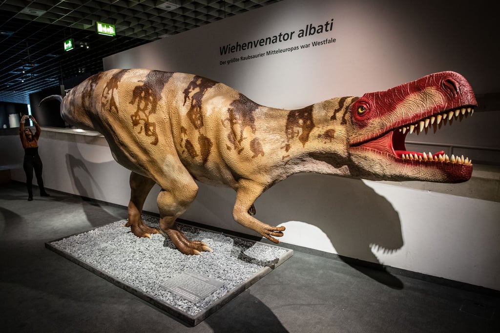 LWL-Besucherbilanz 2023: Deutliches Plus für die Museen