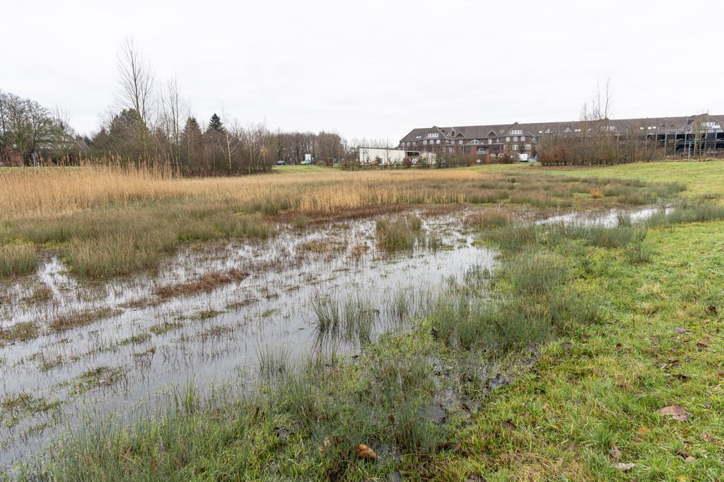Warum ist dieses Rückhaltebecken trotz Hochwassers leer?