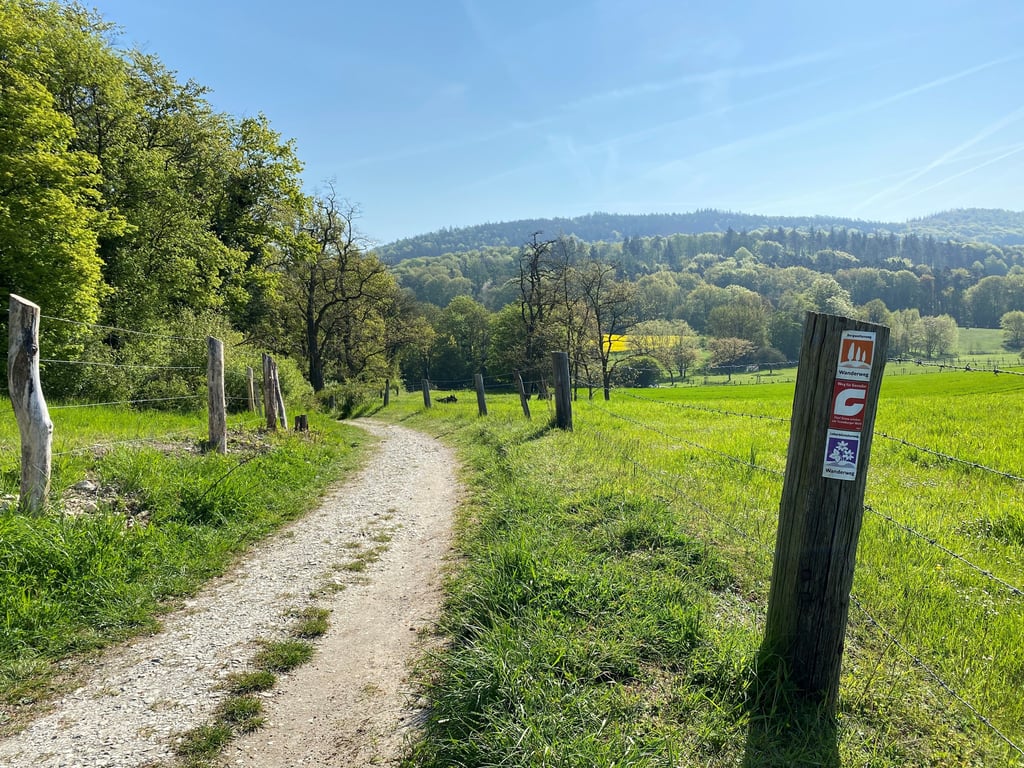 Steinhagen: Eine der schönsten Wanderungen in Deutschland auf dem ...