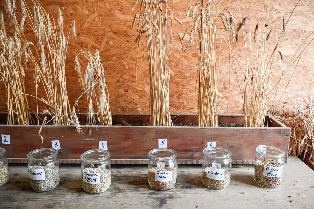 Experte sieht große Wissenslücken über Landwirtschaft
