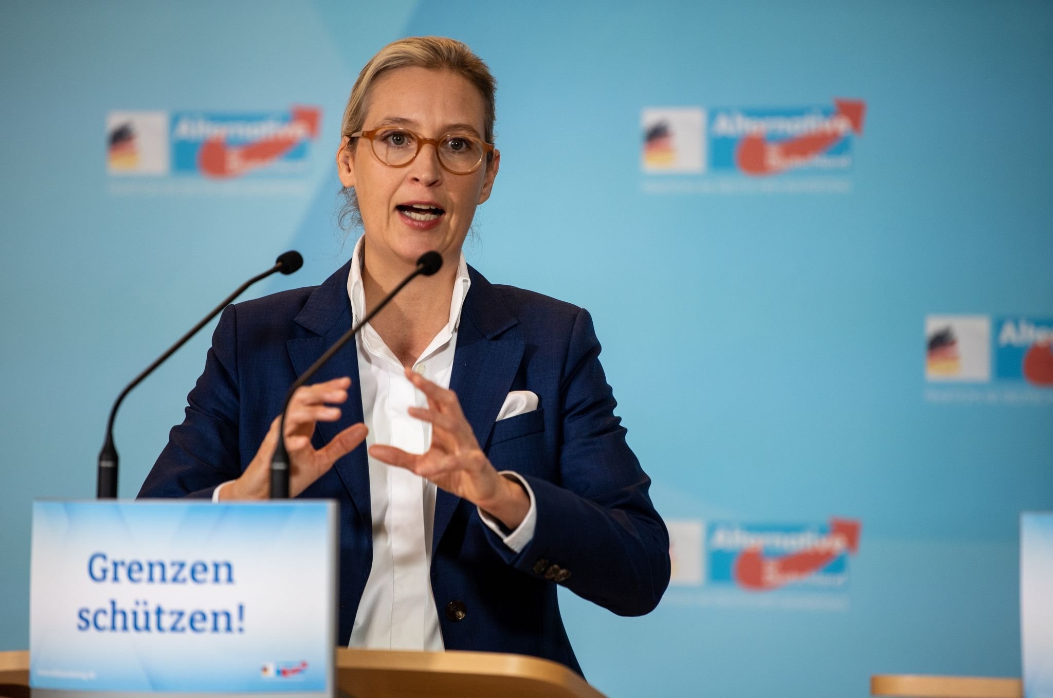 AfD-Vorsitzende Weidel Sieht «Dexit»-Referendum Als Plan B