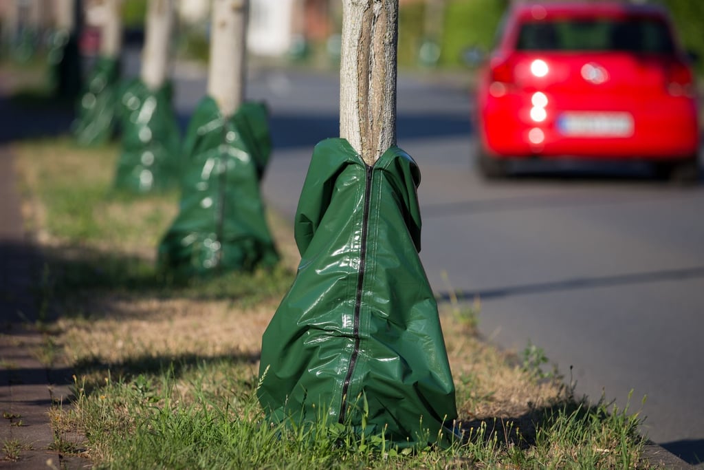 Der Wassersack: Lebensretter oder Mogelpackung?