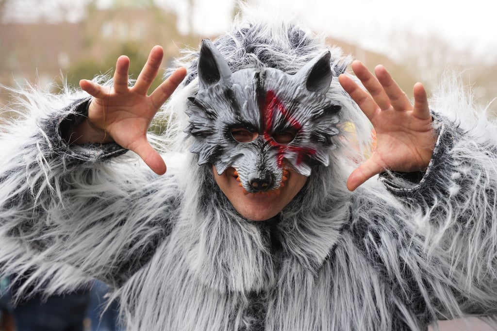 Wer hat das beste Kostüm? – Sie entscheiden per Voting