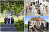 Eine Radtour durch die Region, ein Besuch im Zoo oder ein Spaziergang rund um Burg Vischering: Im Münsterland gibt es jede Menge zu sehen und zu erleben.