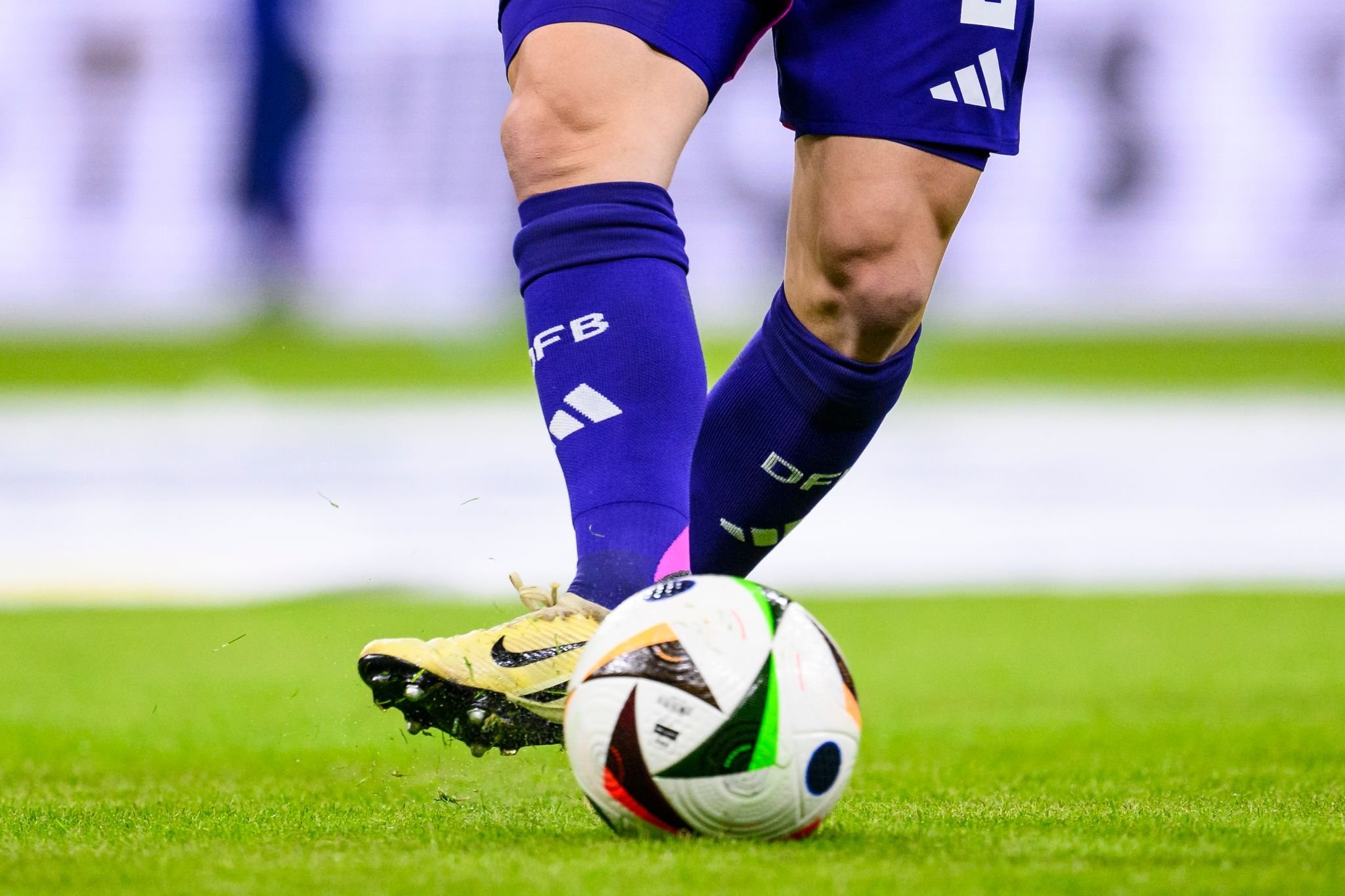LänderspielRasen in Frankfurt DFB bat um Platzbewässerung