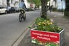 An bislang zehn Stellen im Kreuzviertel wurden Blumenkübel aufgestellt, um das Parken auf Gehwegen zu verhindern. Veantwortlich dafür ist die Initiative „Verkehrswende im Kreuzviertel“.