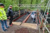 Jürgen Gesenhues von der Stadtverwaltung und Ratsherr Günther Gromotka (CDU) machen sich ein Bild vom Fortschritt bei der Sanierung der seit vielen Jahren gesperrten Brücke im Bagno.