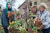 Anne Bussen und Merle Lödige (von rechts) präsentieren frühlingshafte Zwiebel-Zweig-Objekte. Mit Tulpen oder Allium, Weide und Moos wird auch im Workshop am 20. April gearbeitet.