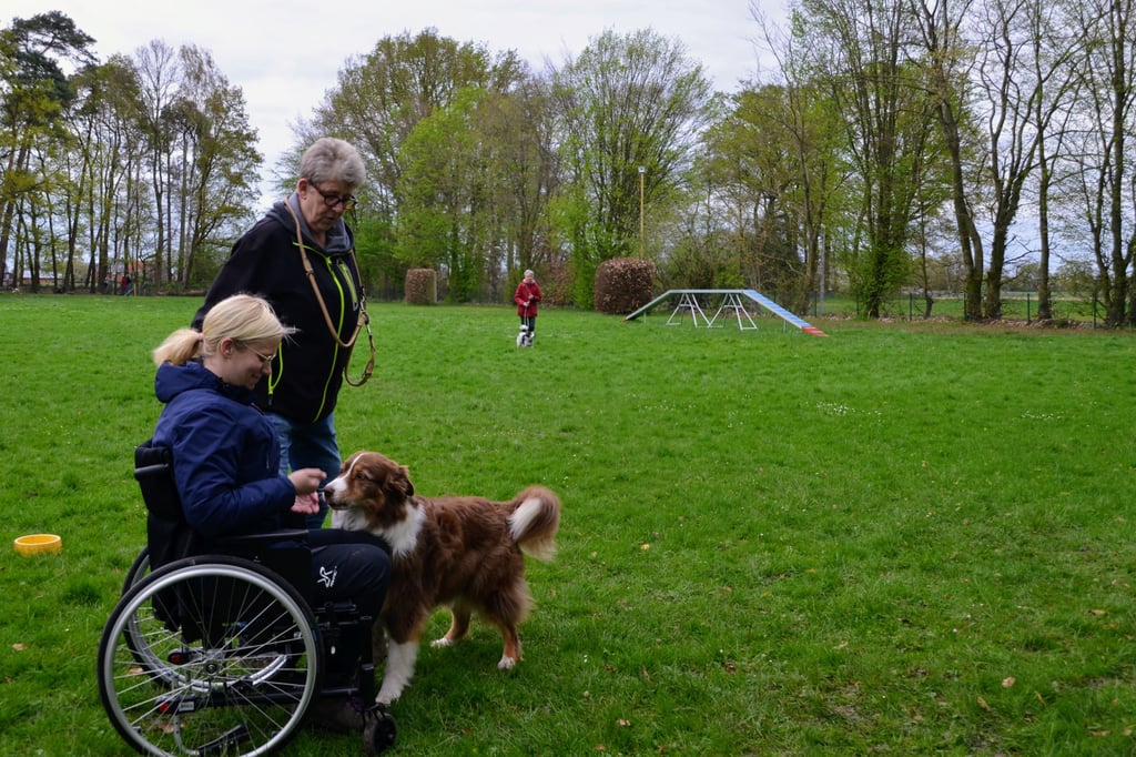 Ausbildung von Hunden: Fit für den Besuchsdienst im Seniorenheim