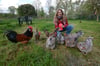 Dr. Katrin Sewerin mit ihrer Hühnerschar auf der großzügig angelegten Wiese, die den Tieren als Gehege zur Verfügung steht.
