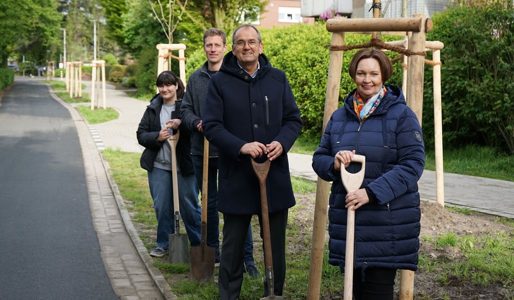 Neue Bäume an Robert-Koch-Straße: