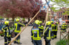 Gelungene Veranstaltung: Mit vereinten Kräften stemmten die Mitglieder der Freiwilligen Feuerwehr Roxel den Maibaum zum ersten Mal seit vier Jahren auf dem Pantaleonplatz wieder in die Höhe.