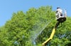 Einsatz beim Bolzplatz am Fuhrmannsweg: Ein Mitarbeiter einer Baumpflege-Firma besprüht vom Hubsteiger aus eine Baumkrone mit einem sogenannten Bio-Insektizid.