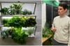 Wird Indoor-Farming in Zukunft den klassischen Pflanzenanbau ablösen? Urbanhive-Gründer Jonas Hülskötter hält das für möglich.