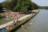Im Sommer sind die Liegeflächen am Dortmund-Ems-Kanal voll belegt. Durch liegengebliebene Essensreste werden Ratten angelockt.