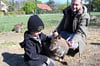 Stephan Bäcker und Sohn Matthes füttern Känguru „Bruno“. Mit etwas Glück bekommt man auch die Muttertiere mit den Jungen im beutel zu sehen.