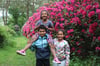 In voller Blüte stehen zurzeit die Rhododendrenpflanzen im Park der Baumschule Rüskamp in Welte - und bieten sich für Fotos an.