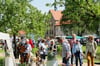 Auf dem Gelände des Klosters Gravenhorst findet am Sonntag der „Marktzauber“ statt.
