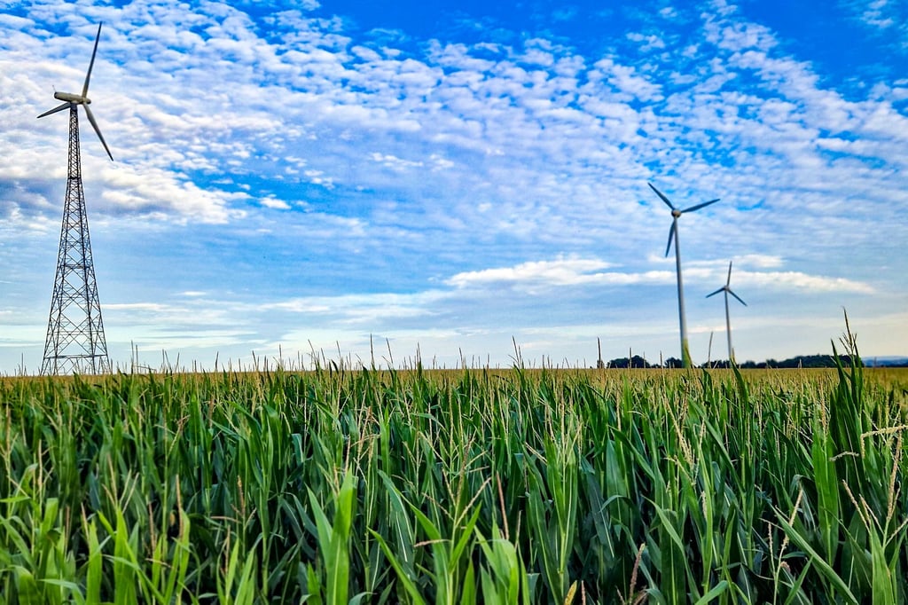 „Sorgenrad“ will in Rödinghausen in die Politik