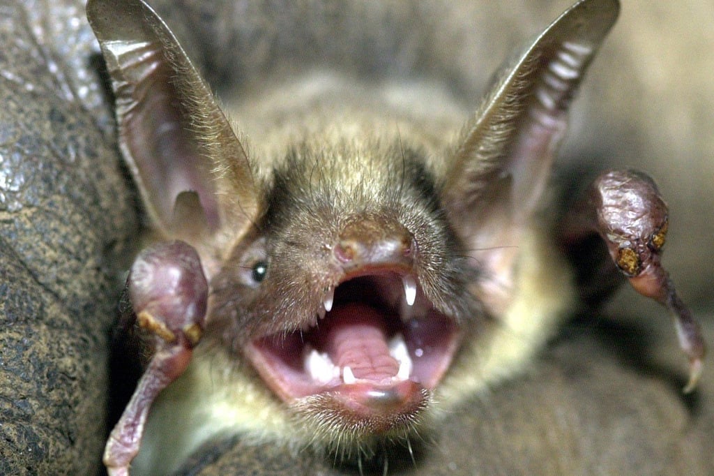 Die Kanalpromenade bleibt sehr oft sehr dunkel