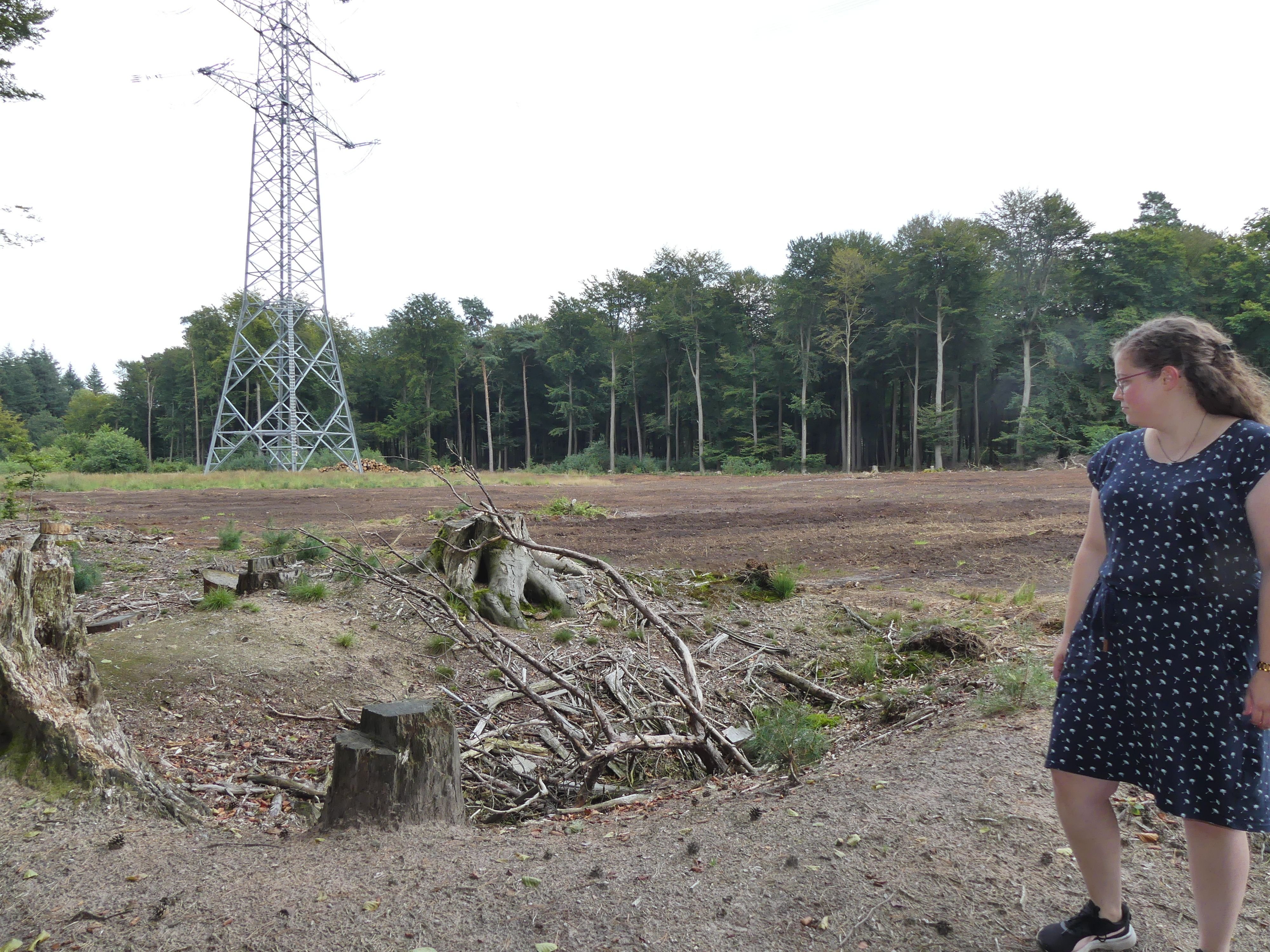 Tabula Rasa in der Metelener Heide: Teil der V2-Abschussplätze betroffen