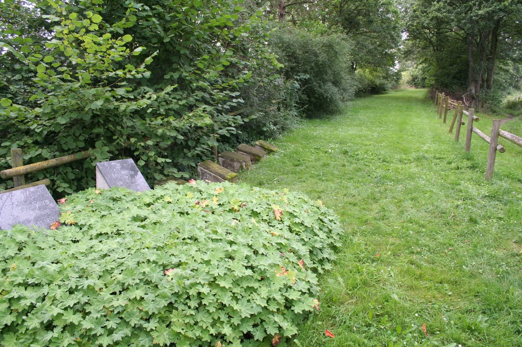 Niederntudorf: Heimatverein möchte jüdischen Friedhof aufwerten