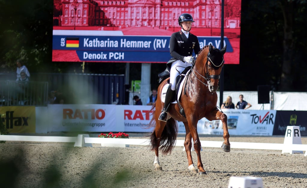 I'm brilliant in the special Katharina Hemmer with Denoix.