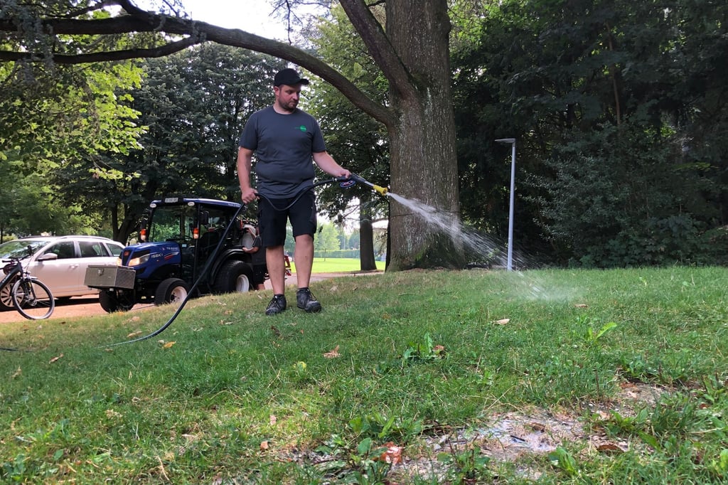 Basel uses nematodes against Japanese beetles for the first time