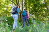 Anlässlich der Waldtage lädt der Kreis Steinfurt zu informativen Wanderungen ein.