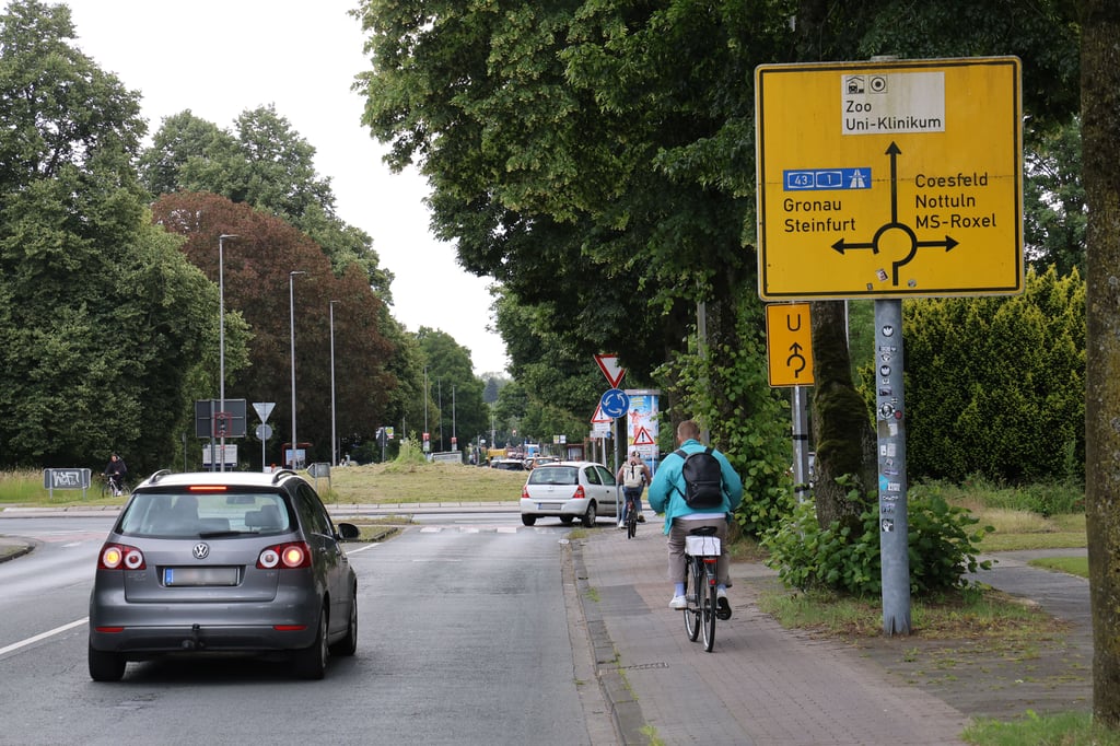 Gr-ne-SPD-und-Volt-In-Fragen-geh-llte-Unbelehrbarkeit