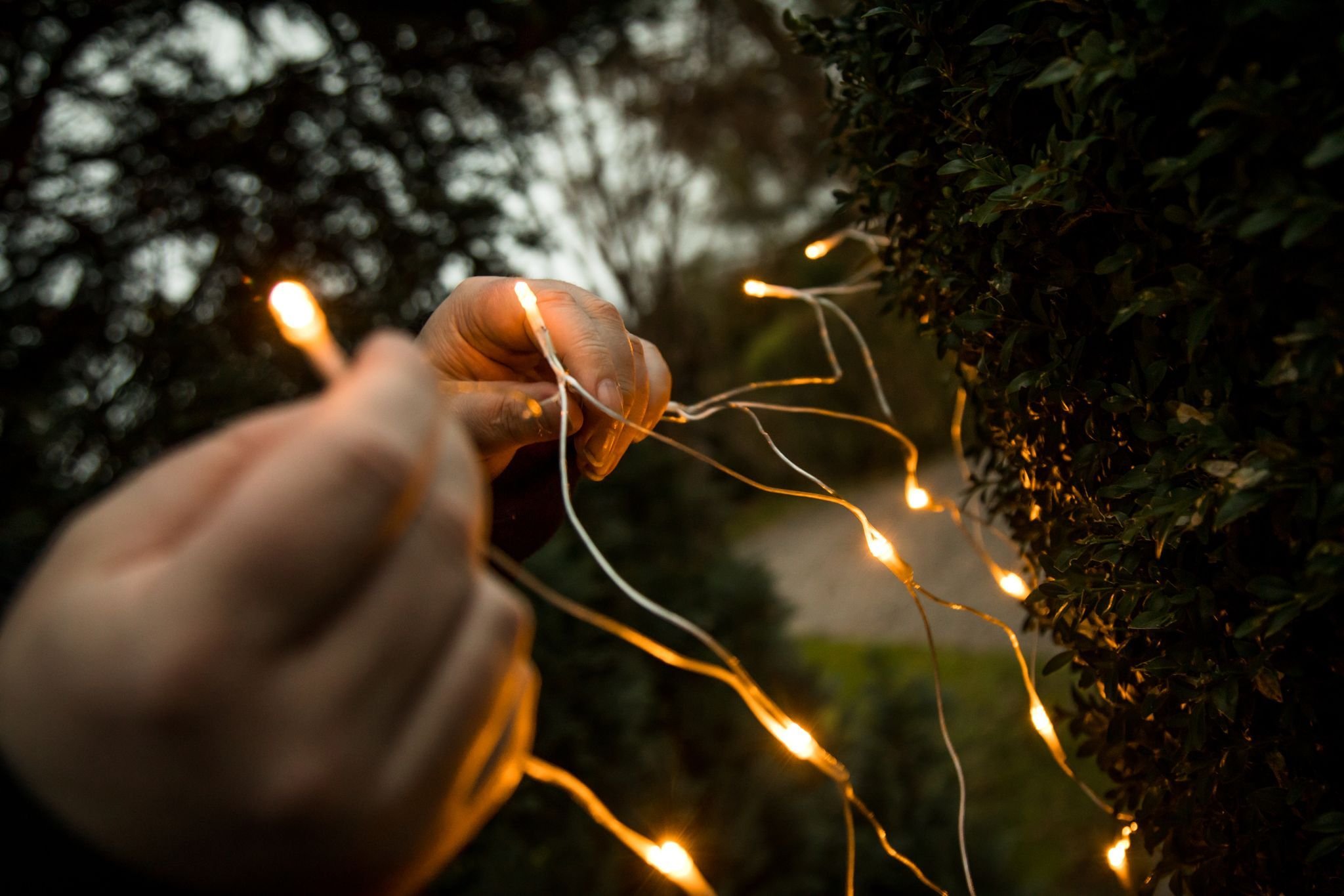 Schöne Stromfresser? So Leuchtet Die Lichterkette Sparsamer