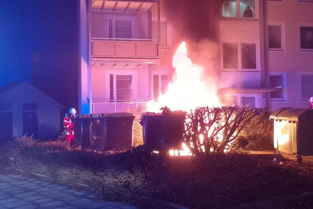 Feuer-in-mehreren-M-llcontainern