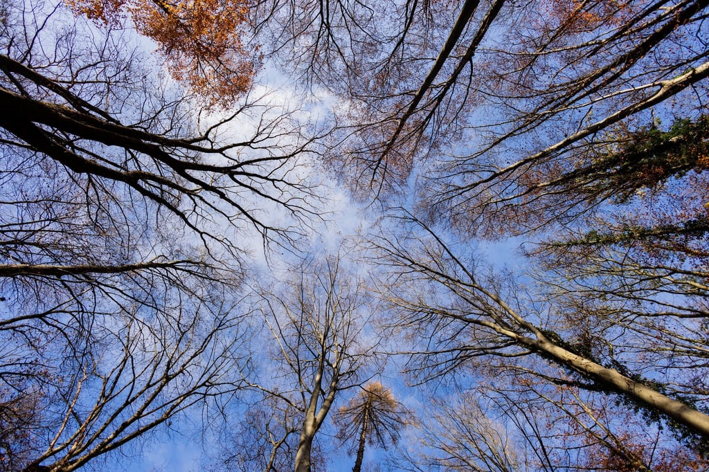 Viel-Sonne-am-Wochenende-in-NRW