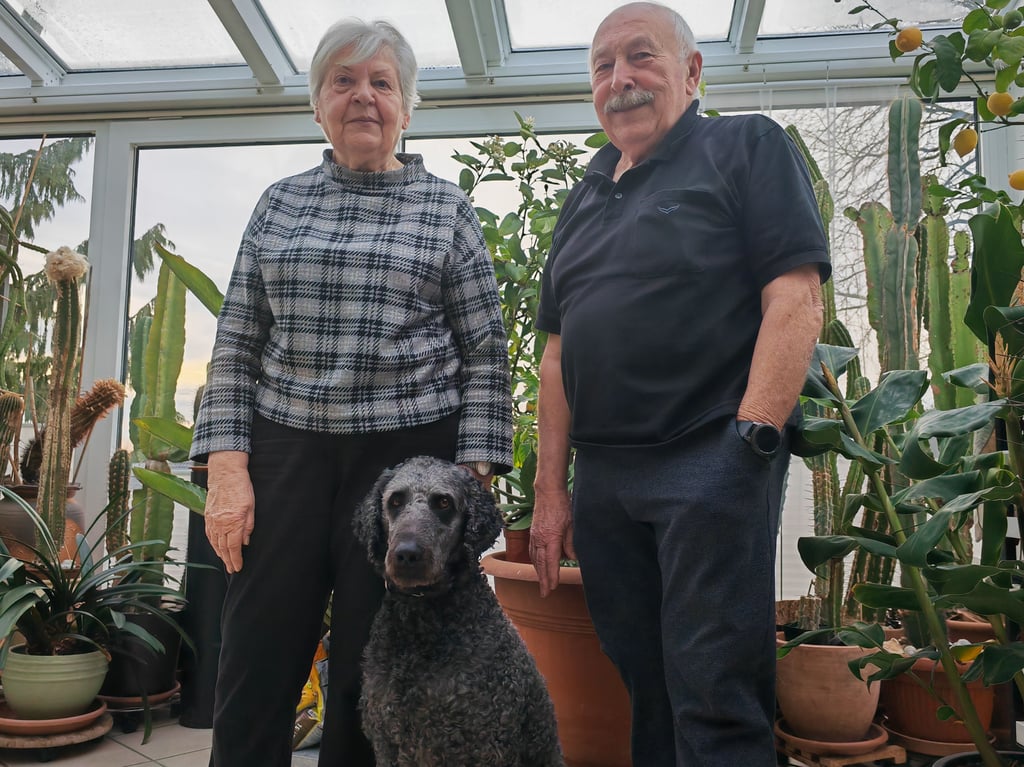 Hiddenhausen Ehepaar findet Familienhund Balu