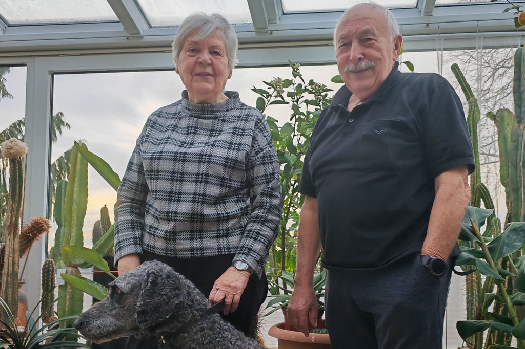 Hiddenhausen Ehepaar findet Familienhund Balu