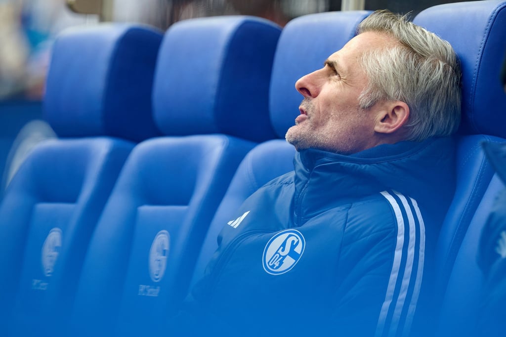 Van-Wonderen-sieht-Schalke-04-auf-richtigem-Weg