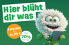 5 Wochen ab 14,90 € + gratis Prämie