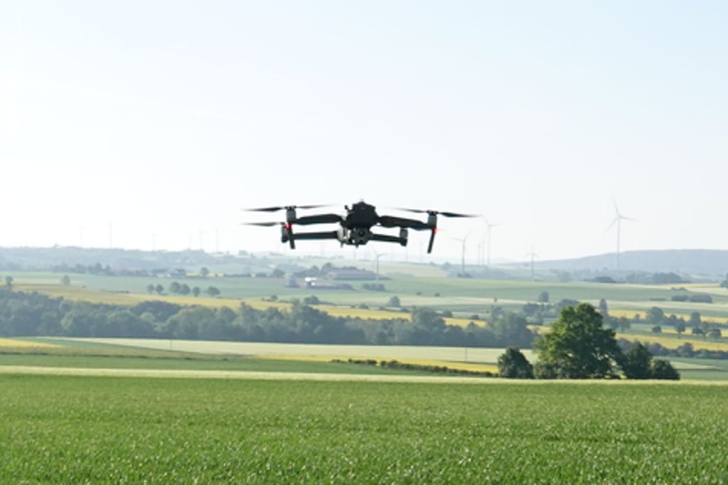 So rettet eine Drohne das Leben von Rehkitzen