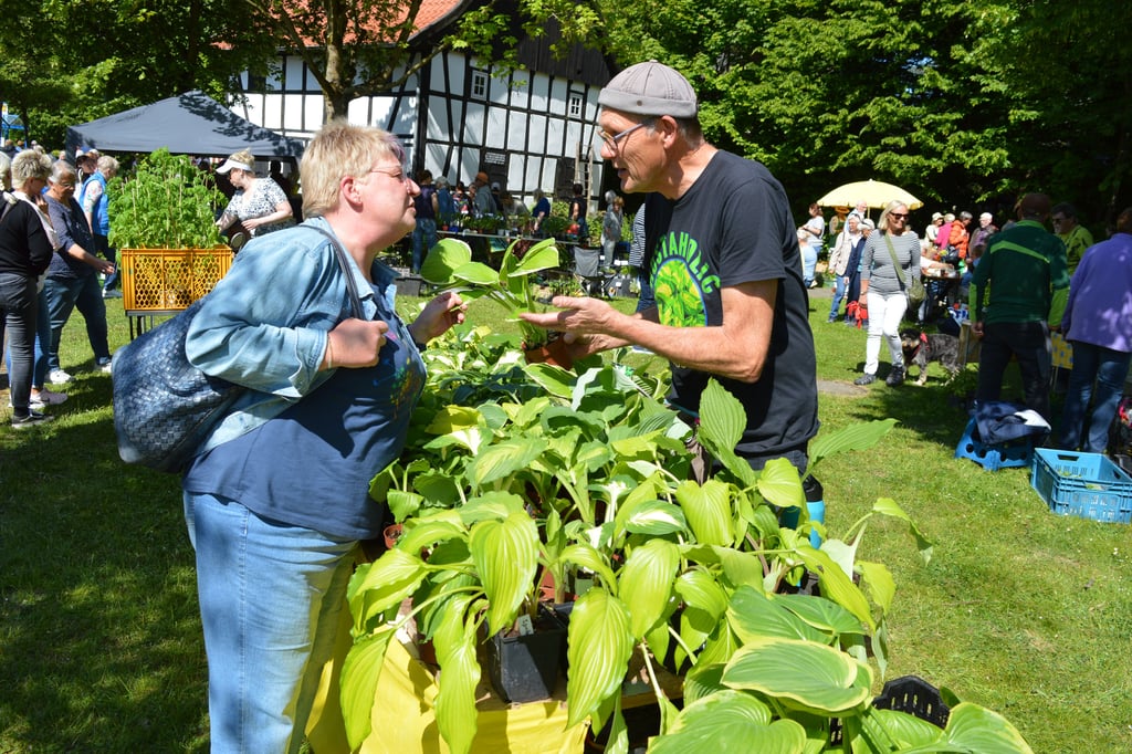 Großer Besucherandrang beim Gartenflohmarkt am Museum in Löhne