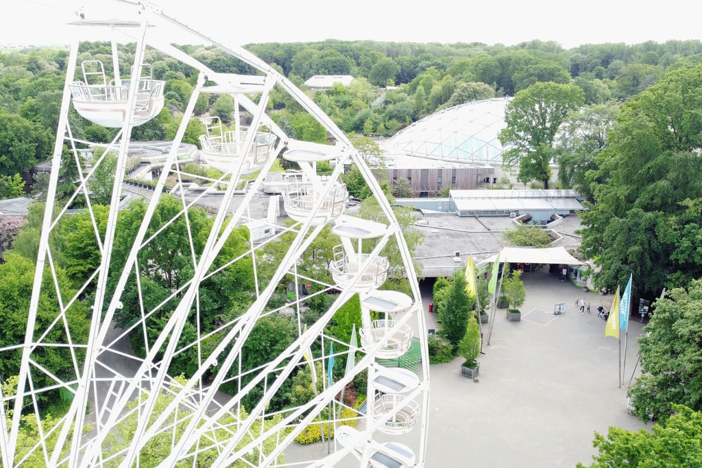 „Solarwheel“ kehrt zurück zum Allwetterzoo Münster
