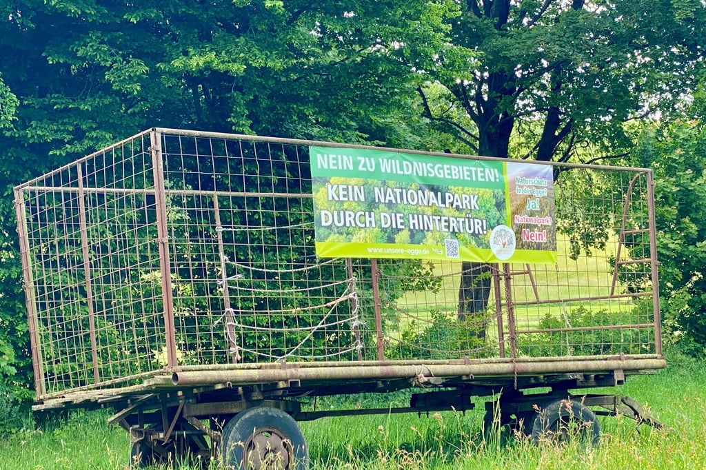 Gerüchte um Wildnisgebiete in der Egge