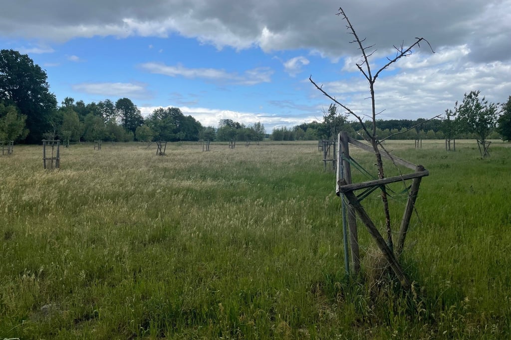 Wenn Papiertiger auf Wirklichkeit treffen