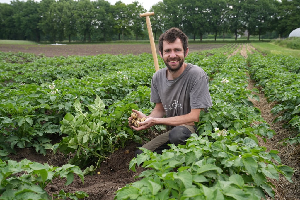 Nach Prozess um Kaufvertrag: Existenz eines Biobauern gerettet