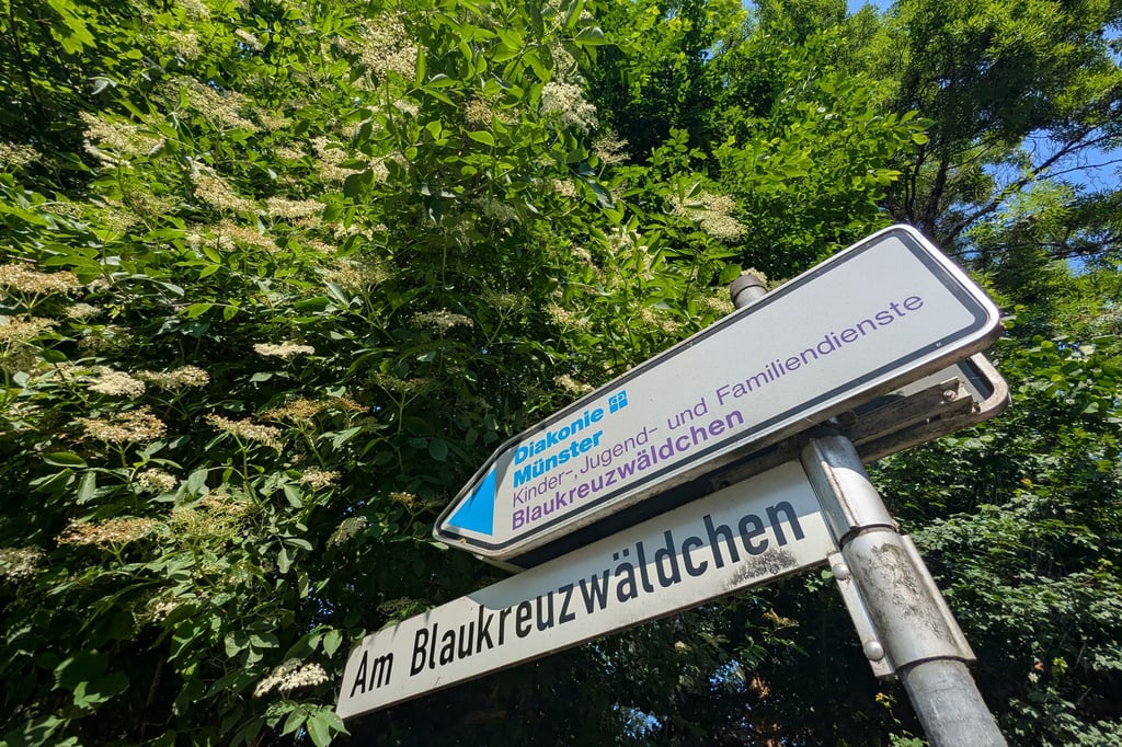 Alles neu bei der Diakonie im Blaukreuzwäldchen