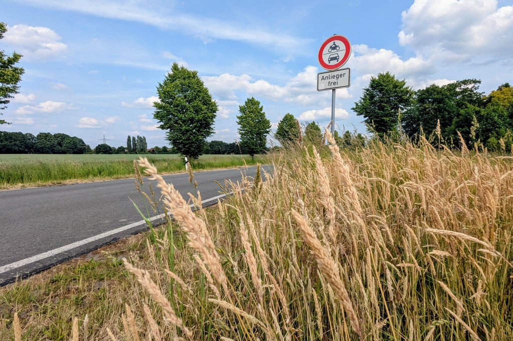 SPD und Grüne erheben schwere Vorwürfe gegen Bezirksbürgermeister