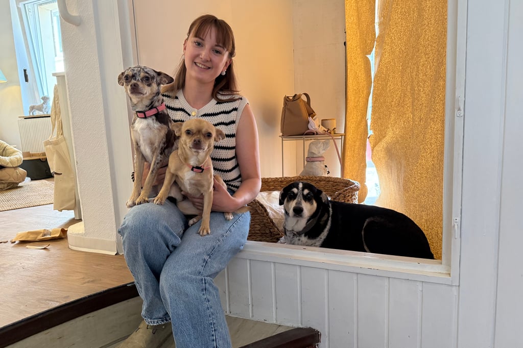 Hier schlägt das Herz von Hundeliebhabern höher