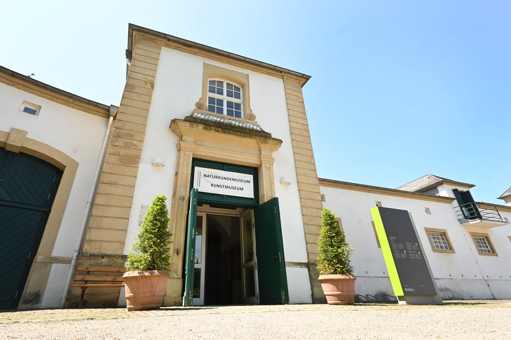 Das Naturkundemuseum Paderborn soll umgestaltet werden