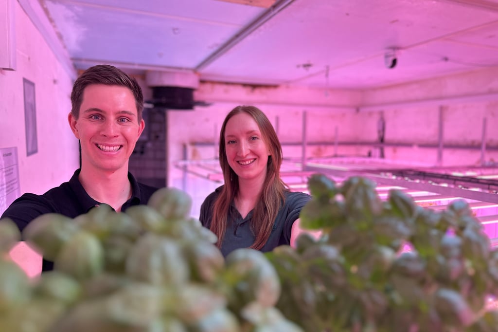 Basilikum-statt-Schweinezucht-Start-up-hat-neue-Idee-f-r-leerstehende-St-lle