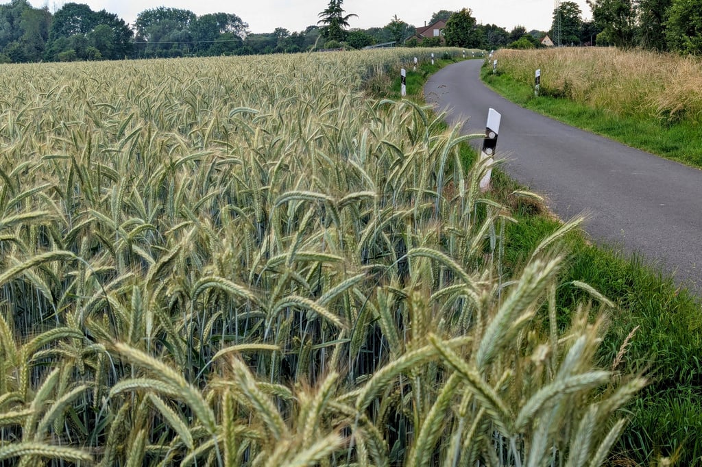 Eschstraßen-Streit: CDU spricht von „Respektlosigkeit“